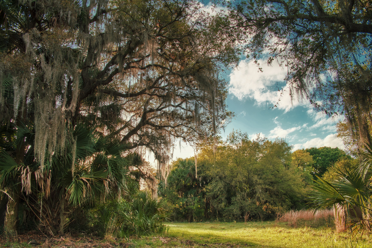 Panoramic Image of North Port, FL